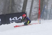 FIS Baltijas kauss 2024 3. posms, SSL