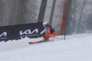 FIS Baltijas kauss 2024 3. posms, SSL