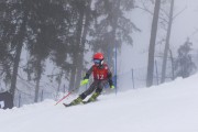 FIS Baltijas kauss 2024 3. posms, SSL