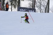 FIS Baltijas kauss 2024 3. posms, SL