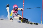 FIS Baltic Cup 2018 3. posms, Igaunijas Čempionāts slalomā, Foto: Emīls Lukšo