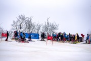 FIS Baltijas kauss 2024 5. posms, GS, Foto: E.Lukšo