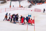 FIS Baltijas kauss 2024 5. posms, GS, Foto: E.Lukšo
