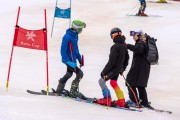 FIS Baltijas kauss 2024 5. posms, GS, Foto: E.Lukšo