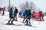 FIS Baltijas kauss 2024 5. posms, GS, Foto: E.Lukšo