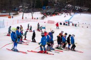 FIS Baltijas kauss 2024 5. posms, GS, Foto: E.Lukšo