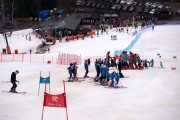 FIS Baltijas kauss 2024 5. posms, GS, Foto: E.Lukšo