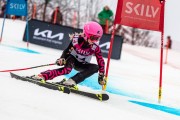 FIS Baltijas kauss 2024 5. posms, GS, Foto: E.Lukšo