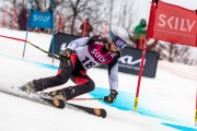 FIS Baltijas kauss 2024 5. posms, GS, Foto: E.Lukšo