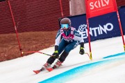 FIS Baltijas kauss 2024 5. posms, GS, Foto: E.Lukšo