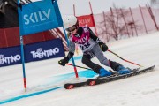 FIS Baltijas kauss 2024 5. posms, GS, Foto: E.Lukšo