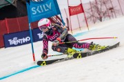 FIS Baltijas kauss 2024 5. posms, GS, Foto: E.Lukšo