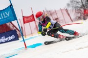 FIS Baltijas kauss 2024 5. posms, GS, Foto: E.Lukšo