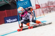 FIS Baltijas kauss 2024 5. posms, GS, Foto: E.Lukšo