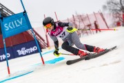 FIS Baltijas kauss 2024 5. posms, GS, Foto: E.Lukšo