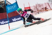 FIS Baltijas kauss 2024 5. posms, GS, Foto: E.Lukšo