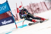 FIS Baltijas kauss 2024 5. posms, GS, Foto: E.Lukšo