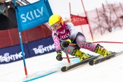 FIS Baltijas kauss 2024 5. posms, GS, Foto: E.Lukšo