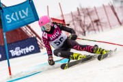 FIS Baltijas kauss 2024 5. posms, GS, Foto: E.Lukšo