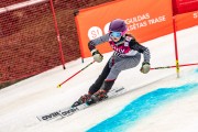 FIS Baltijas kauss 2024 5. posms, GS, Foto: E.Lukšo