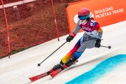 FIS Baltijas kauss 2024 5. posms, GS, Foto: E.Lukšo