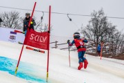 FIS Baltijas kauss 2024 5. posms, GS, Foto: E.Lukšo