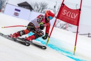 FIS Baltijas kauss 2024 5. posms, GS, Foto: E.Lukšo