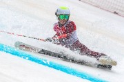 FIS Baltijas kauss 2024 5. posms, GS, Foto: E.Lukšo