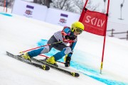FIS Baltijas kauss 2024 5. posms, GS, Foto: E.Lukšo