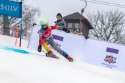 FIS Baltijas kauss 2024 5. posms, GS, Foto: E.Lukšo