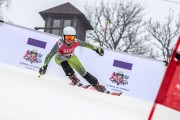 FIS Baltijas kauss 2024 5. posms, GS, Foto: E.Lukšo