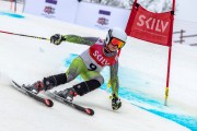 FIS Baltijas kauss 2024 5. posms, GS, Foto: E.Lukšo