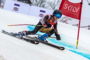 FIS Baltijas kauss 2024 5. posms, GS, Foto: E.Lukšo