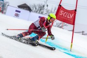 FIS Baltijas kauss 2024 5. posms, GS, Foto: E.Lukšo