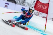 FIS Baltijas kauss 2024 5. posms, GS, Foto: E.Lukšo