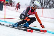 FIS Baltijas kauss 2024 5. posms, GS, Foto: E.Lukšo