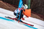 FIS Baltijas kauss 2024 5. posms, GS, Foto: E.Lukšo