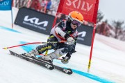 FIS Baltijas kauss 2024 5. posms, GS, Foto: E.Lukšo