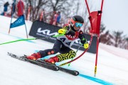FIS Baltijas kauss 2024 5. posms, GS, Foto: E.Lukšo