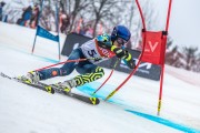 FIS Baltijas kauss 2024 5. posms, GS, Foto: E.Lukšo