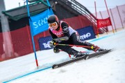 FIS Baltijas kauss 2024 5. posms, GS, Foto: E.Lukšo