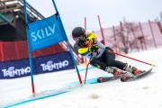FIS Baltijas kauss 2024 5. posms, GS, Foto: E.Lukšo