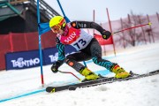FIS Baltijas kauss 2024 5. posms, GS, Foto: E.Lukšo