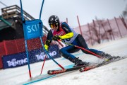FIS Baltijas kauss 2024 5. posms, GS, Foto: E.Lukšo