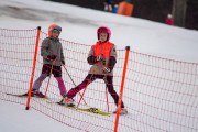 FIS Baltijas kauss 2024 5. posms, GS, Foto: E.Lukšo