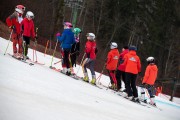FIS Baltijas kauss 2024 5. posms, GS, Foto: E.Lukšo