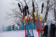 FIS Baltijas kauss 2024 5. posms, GS, Foto: E.Lukšo