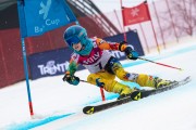 FIS Baltijas kauss 2024 5. posms, GS, Foto: E.Lukšo