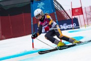FIS Baltijas kauss 2024 5. posms, GS, Foto: E.Lukšo