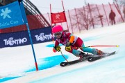 FIS Baltijas kauss 2024 5. posms, GS, Foto: E.Lukšo